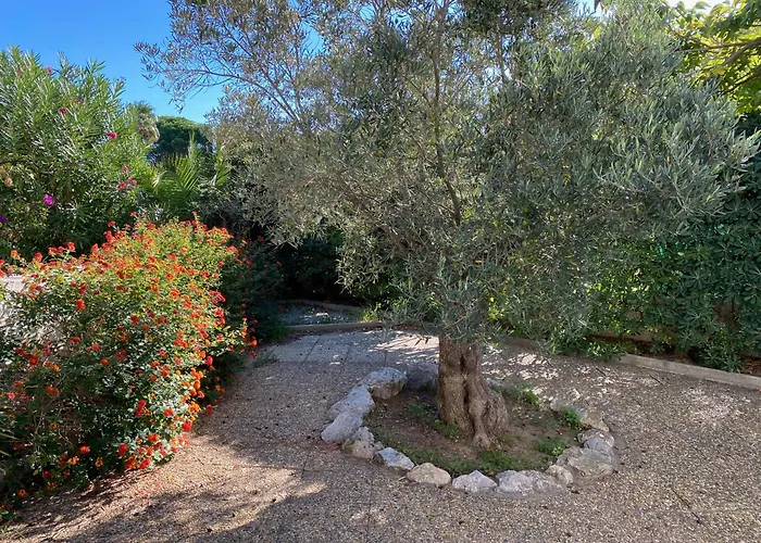 בית נופש Maison Climatisee 8p, Pres De La Et Du Port, Animaux Admis - Fr-1-798-59 לאוקאט