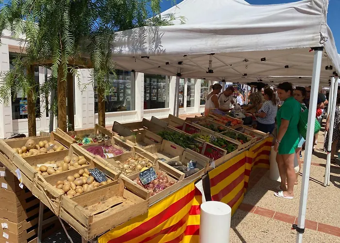 Maison Climatisee 8p, Pres De La Et Du Port, Animaux Admis - Fr-1-798-59 בית נופש *