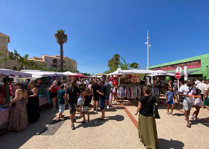 Superbe Maison Climatisée 8p Entre Et Port, Animaux Admis - Fr-1-798-59 Leucate